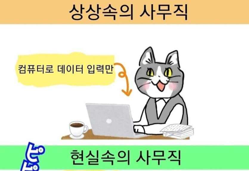 7e7cebe01a1d72c4cca40967a99fed1c_1734369886_8826.png