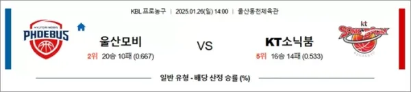 로얄스포츠 스포츠분석