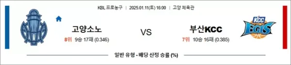 로얄스포츠 스포츠분석