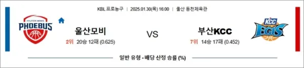 로얄스포츠 스포츠분석