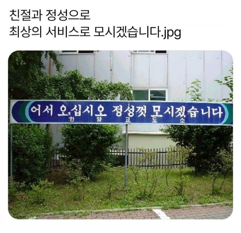 92434abb1b316a66f58d37e822829d0d_1742966419_2901.jpg
