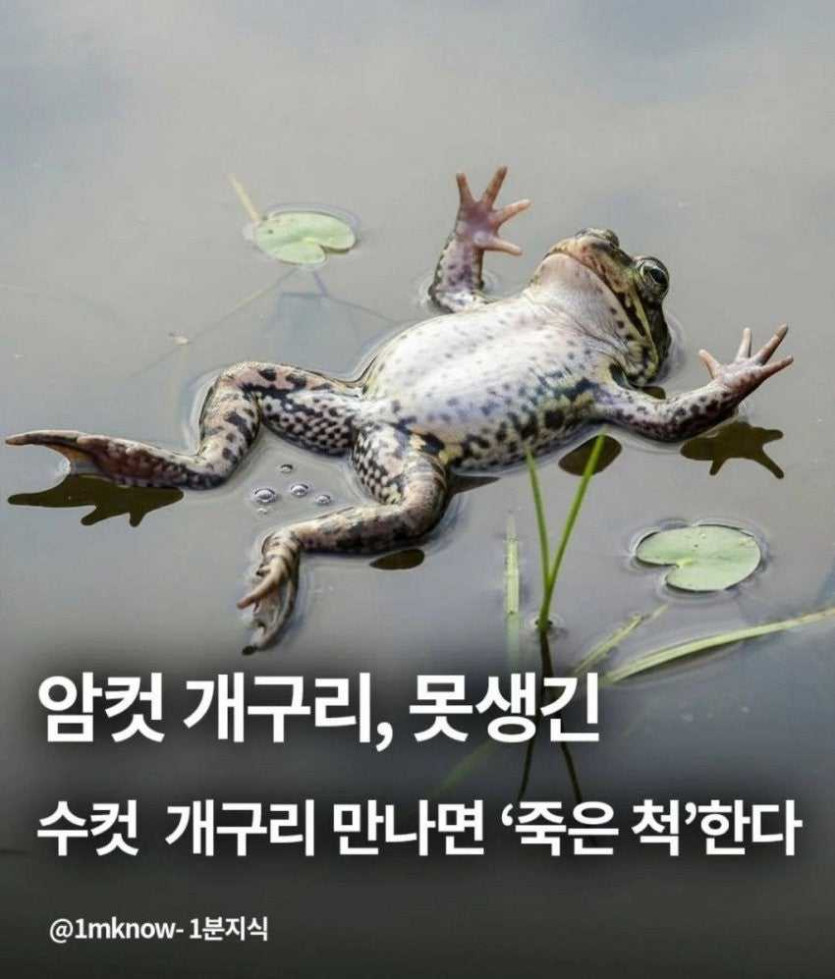 7c80b15cfe0d6bd1e88ce79ea2bf1b9f_1762938080_5217.jpg